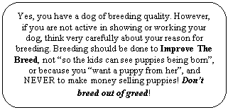 Rounded Rectangle: Yes, you have a dog of breeding quality. However, if you are not active in showing or working your dog, think very carefully about your reason for breeding. Breeding should be done to Improve The Breed, not &ldquo;so the kids can see puppies being born&rdquo;, or because you &ldquo;want a puppy from her&rdquo;, and NEVER to make money selling puppies! Don&rsquo;t breed out of greed!