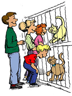 Selecting Pet